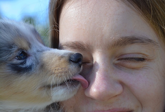 Why Dogs Lick Your Face: The Canine Kiss Explained
